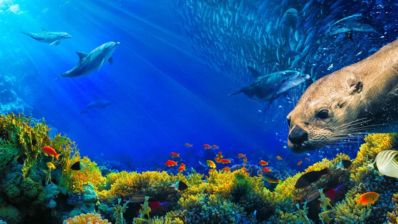 Oceans: Our Blue Planet screenshot 1
