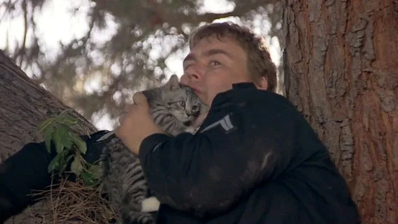 Armed and Dangerous screenshot 8