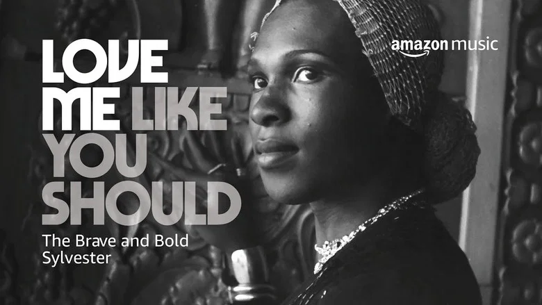 Love Me Like You Should: The Brave and Bold Sylvester screenshot 1