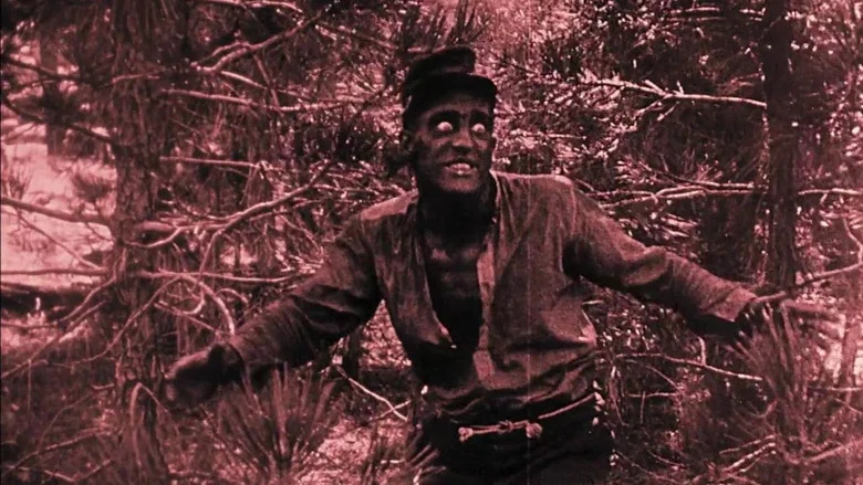 The Birth of a Nation screenshot 8