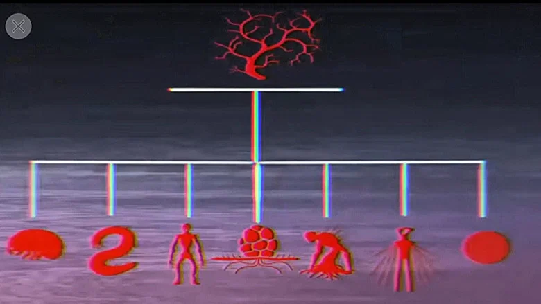 Vita Carnis - Living Meat Documentary screenshot 1