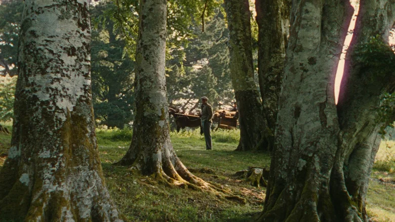 The Quiet Man screenshot 2