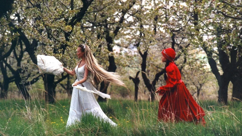 Wild Flowers screenshot 1
