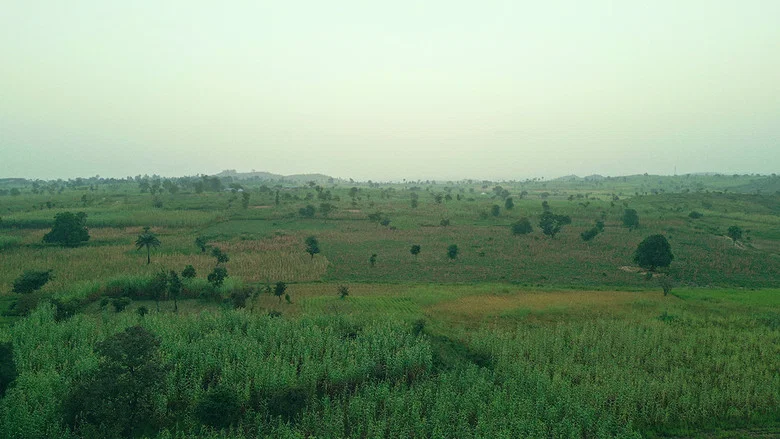 The Sahel Cuisine: Fura Da Nono screenshot 2