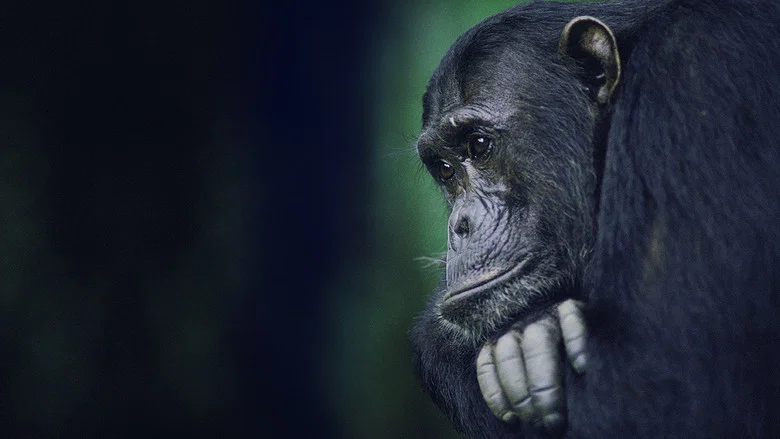 Kingdom of the Apes: Battle Lines screenshot 4