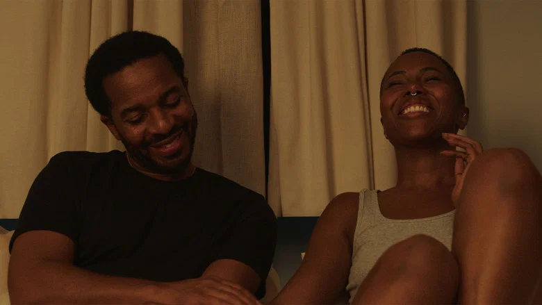 Love, Brooklyn screenshot 2