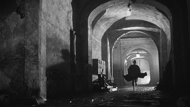 The Third Man screenshot 8