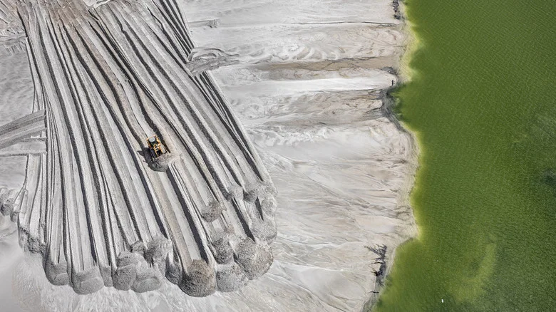 Anthropocene: The Human Epoch screenshot 6