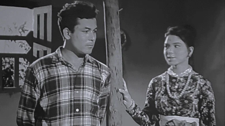 Aama screenshot 4