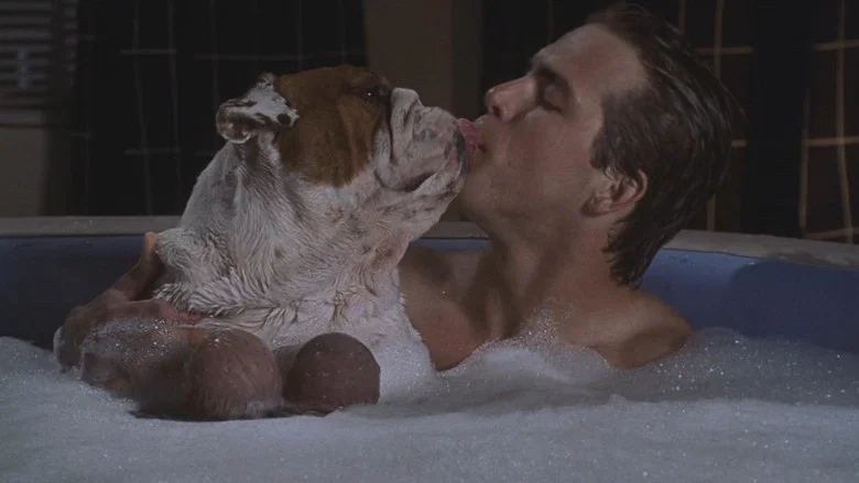 National Lampoon's Van Wilder screenshot 4