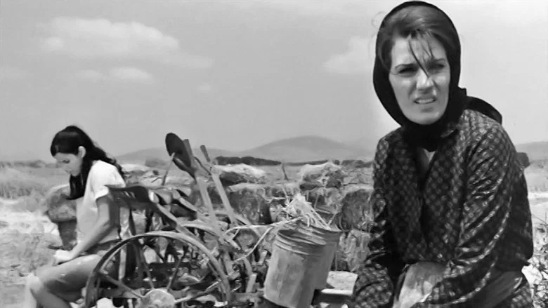 The Fear screenshot 3