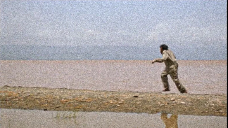 Jesus Shows You the Way to the Highway screenshot 3