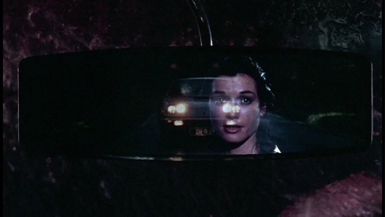 The Man Who Haunted Himself screenshot 8