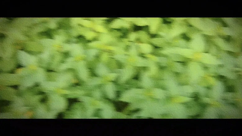 Wandering: The Art of Noticing screenshot 4