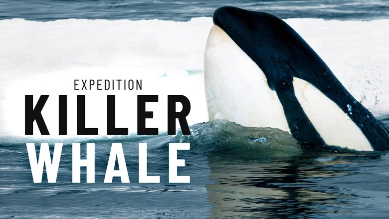 Expedition Killer Whale screenshot 1