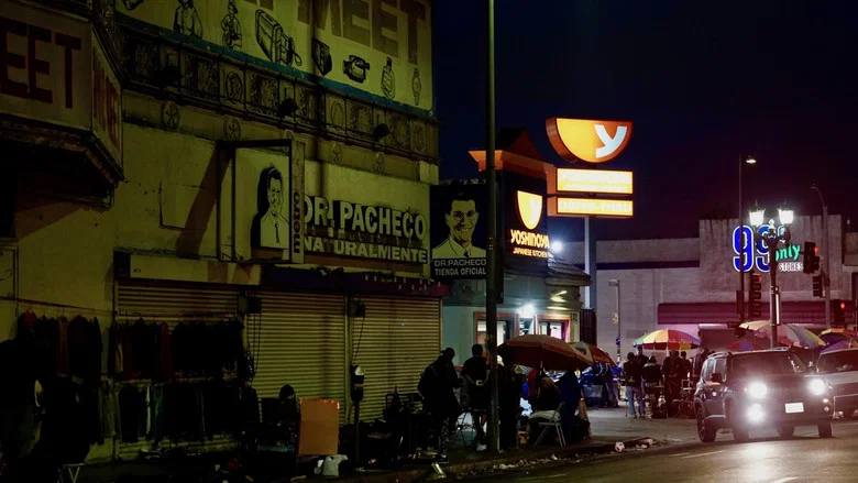 The Blade Runner Phenomenon screenshot 8