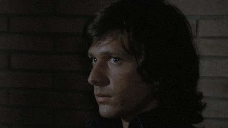 Four Flies on Grey Velvet screenshot 6