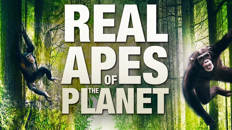 The Real Apes of the Planet screenshot 1