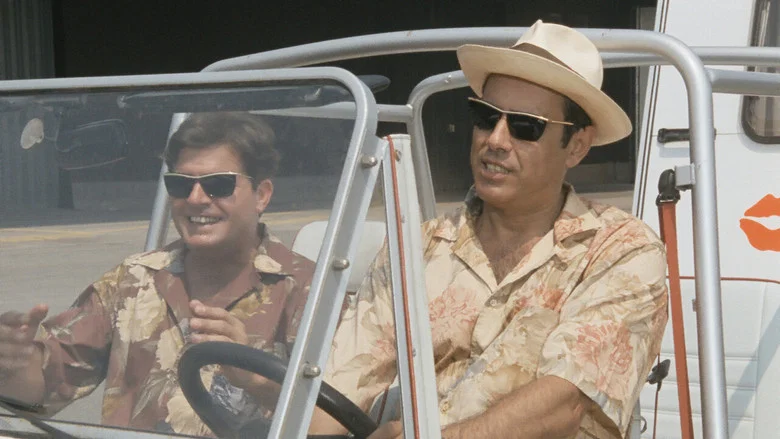 Suntanned screenshot 3