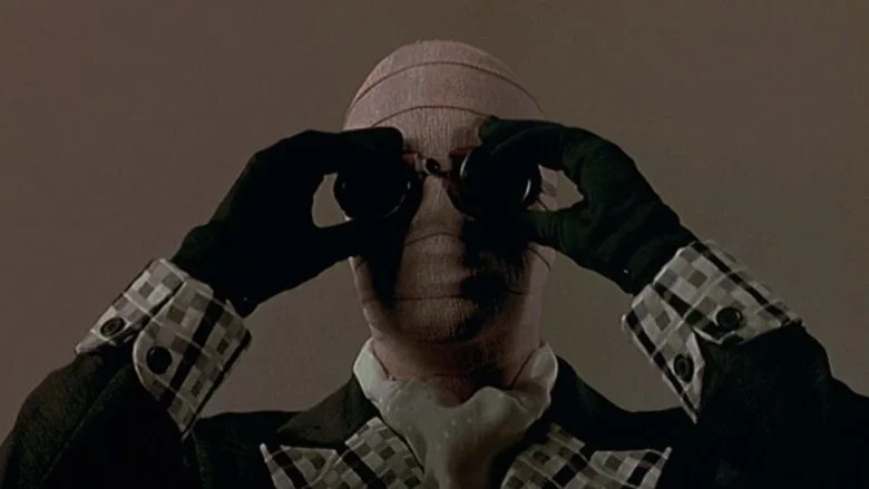 Memoirs of an Invisible Man screenshot 4