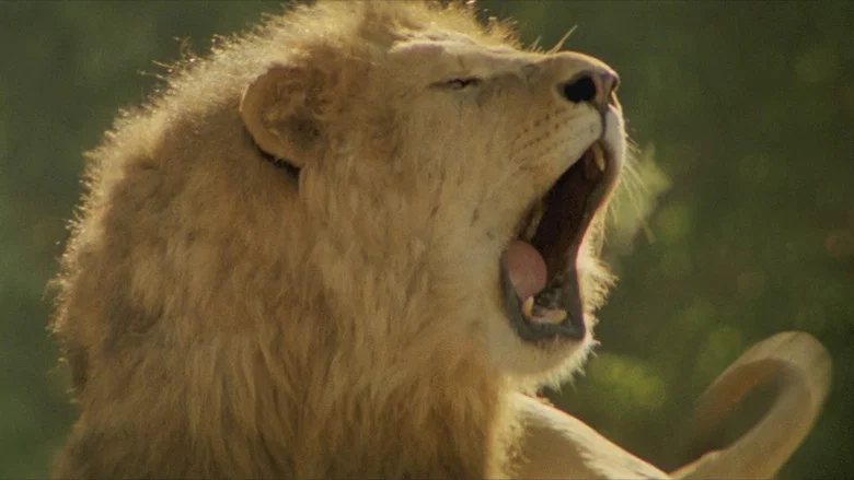 Roar screenshot 4