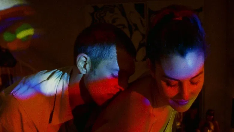 Irreversible screenshot 2