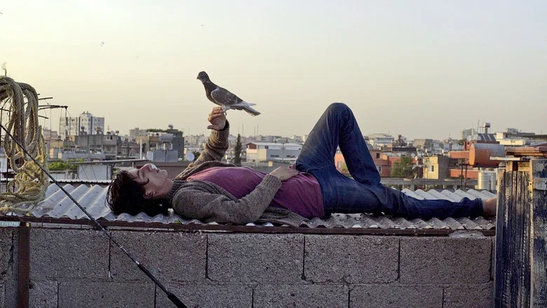 The Pigeon screenshot 2