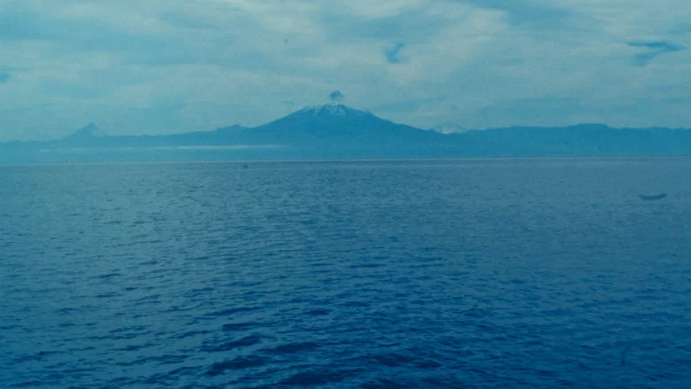 A Letter For Raoul Ruiz screenshot 1