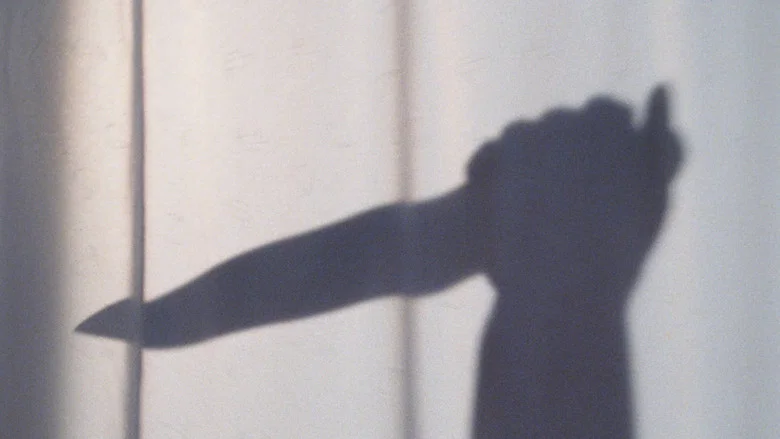 The Murder Secret screenshot 3