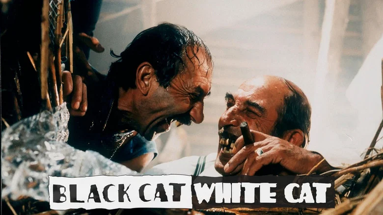Black Cat, White Cat screenshot 7