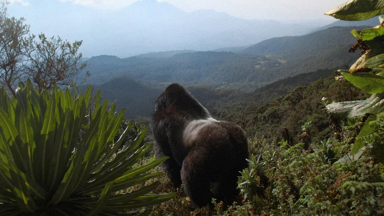 A Gorilla Story: Told by David Attenborough screenshot 1