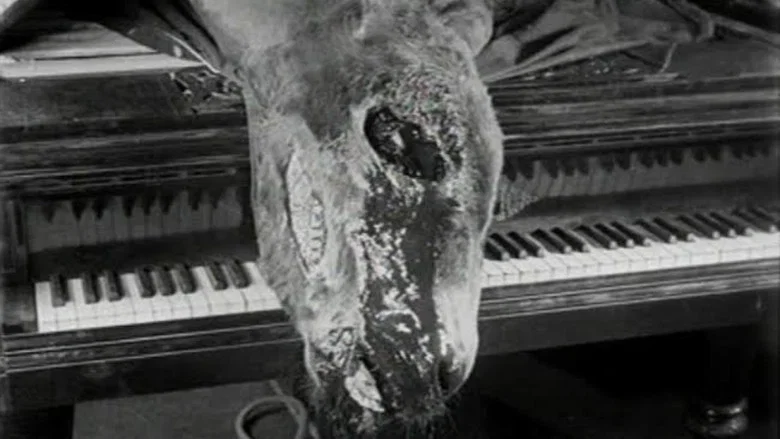 Un Chien Andalou screenshot 7