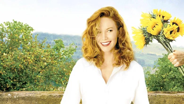 Under the Tuscan Sun screenshot 2