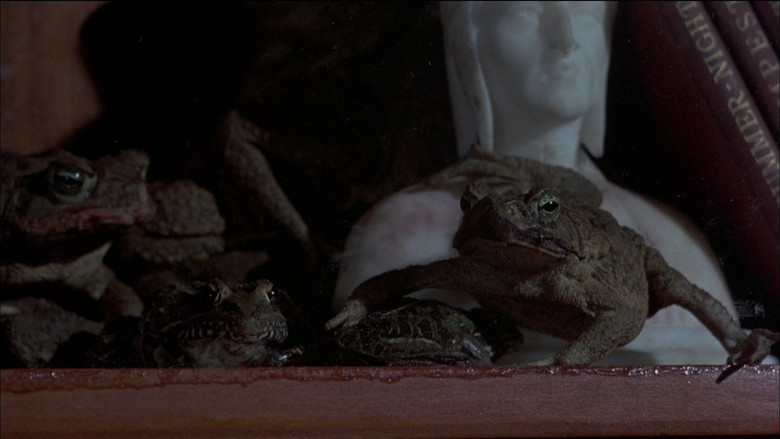 Frogs screenshot 1