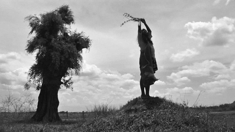 The Turin Horse screenshot 3