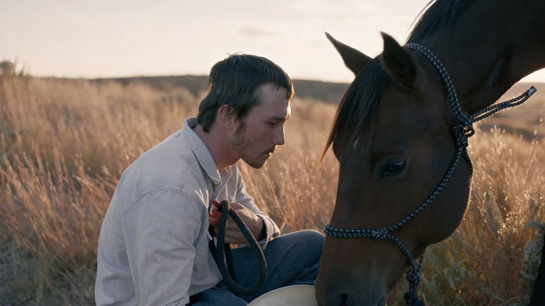 The Rider screenshot 4