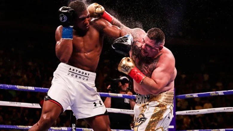 One Night: Joshua vs. Ruiz screenshot 4