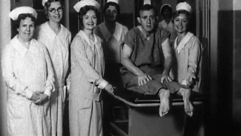 Zelig screenshot 3