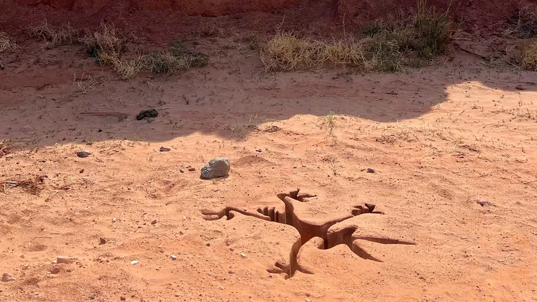 Coyote vs. Acme screenshot 3