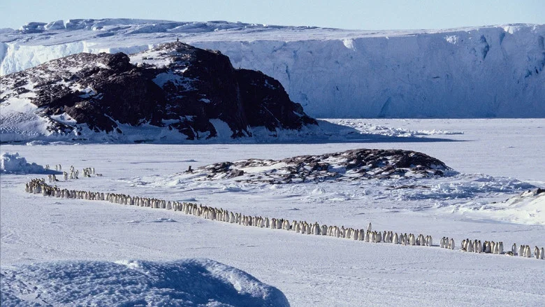 March of the Penguins screenshot 6