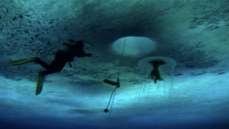 The Wild Blue Yonder screenshot 4