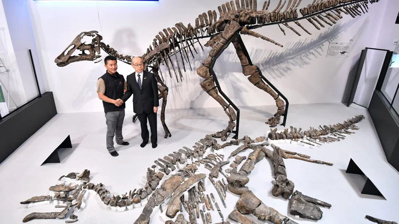 Discovery of the Century — The Great Dinosaur of Japan screenshot 1