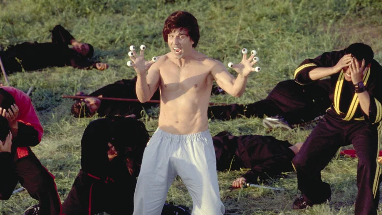 Kung Pow: Enter the Fist screenshot 5