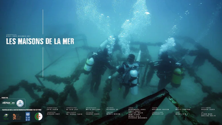 Les Maisons De La Mer screenshot 1