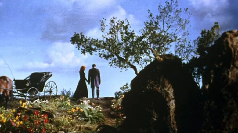 Tennessee's Partner screenshot 2