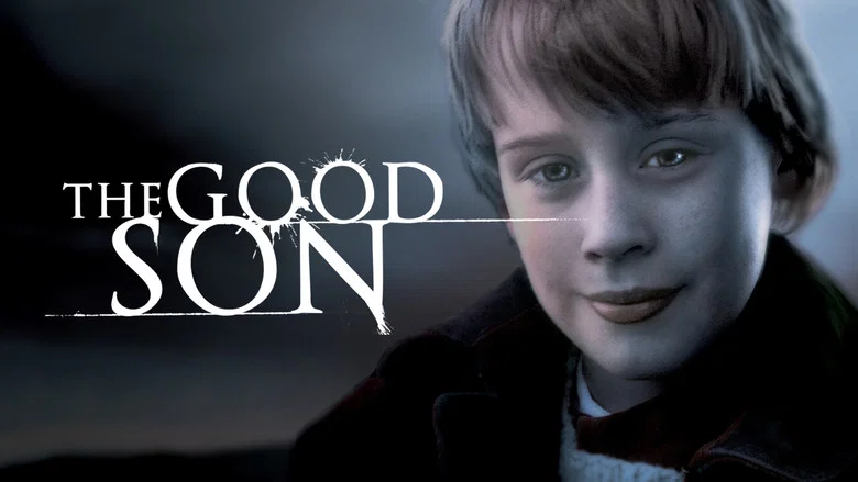The Good Son screenshot 8