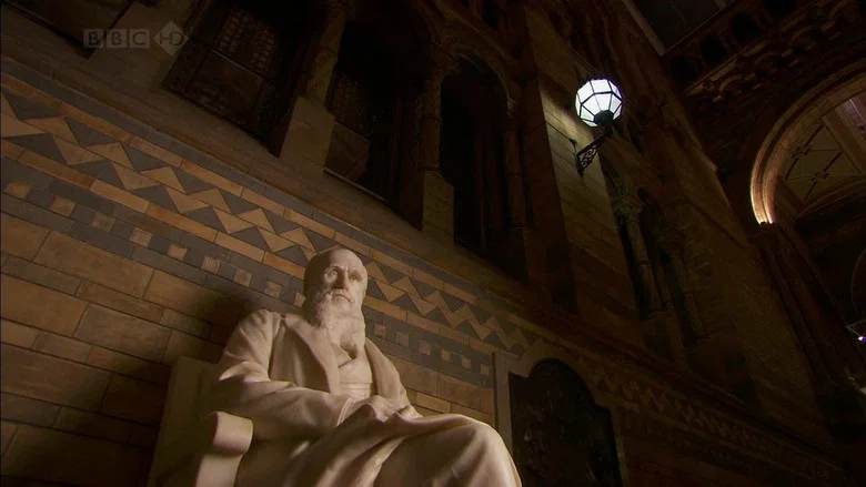 Charles Darwin and the Tree of Life screenshot 4