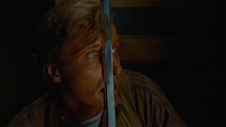 Blind Fury screenshot 5
