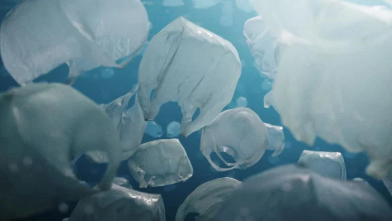 The Beauty screenshot 1