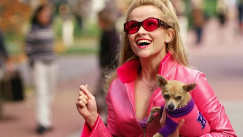 Legally Blonde screenshot 5